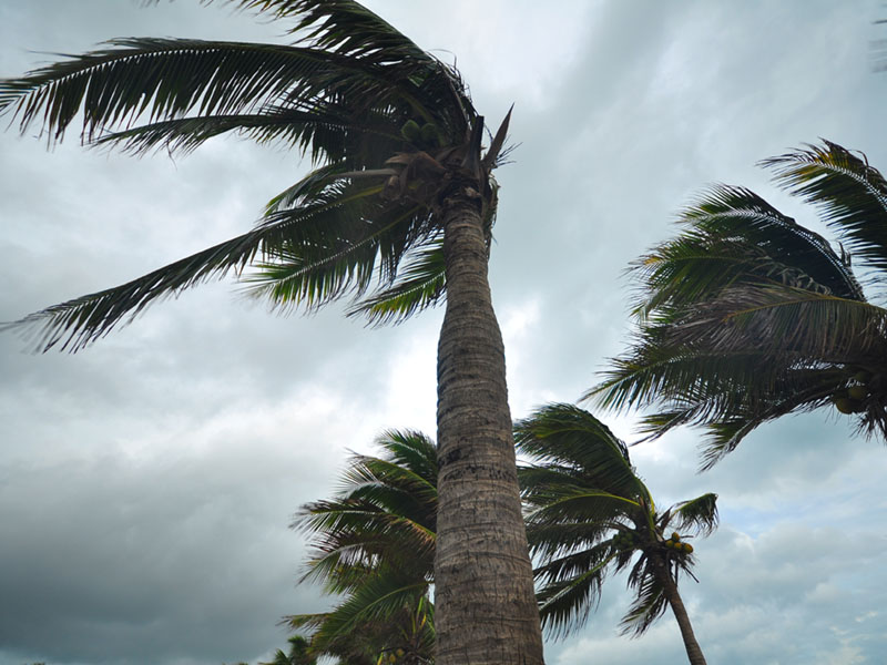 hurricane ian