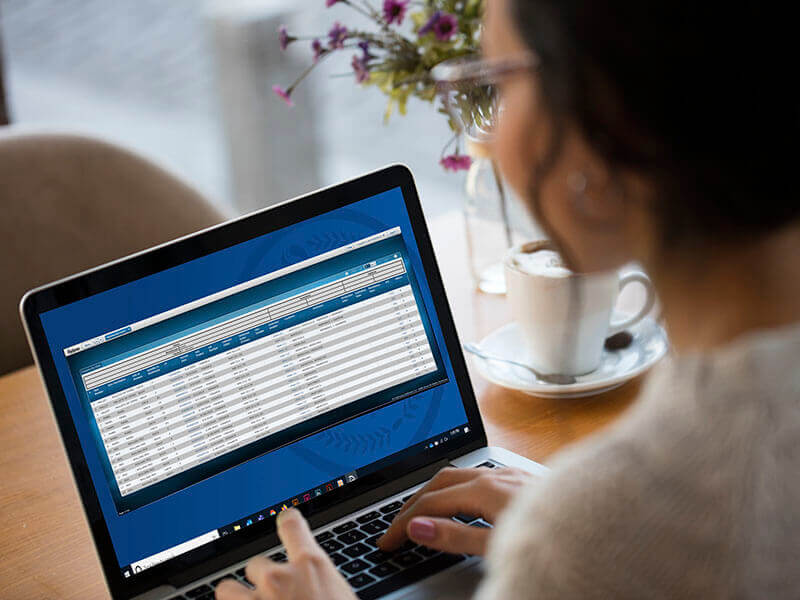 woman viewing inventory list on laptop