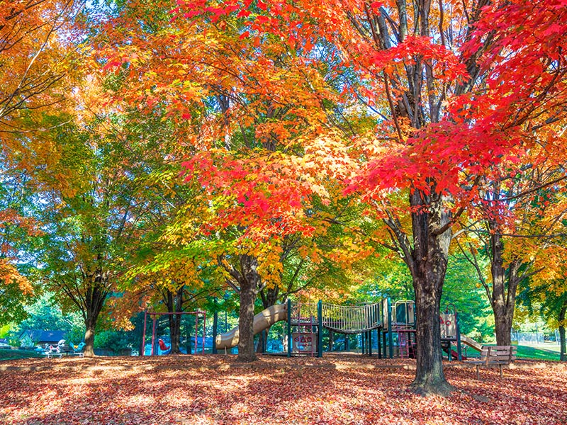 maryland local county park with playground in the fall